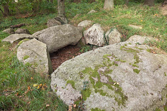 Großsteingrab in Sassnitz bei Dwasieden