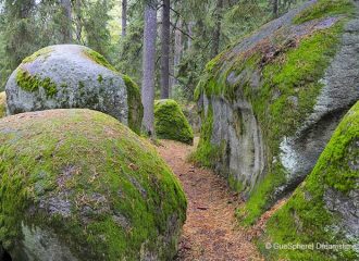 Mystische Steine im Waldviertel