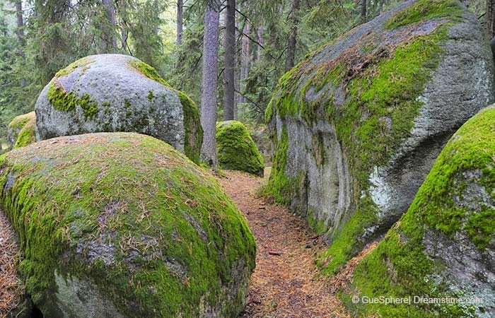 Mystische Steine im Waldviertel